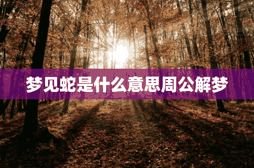 梦见蛇是什么意思周公解梦